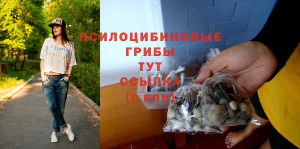 а пвп мука Абаза