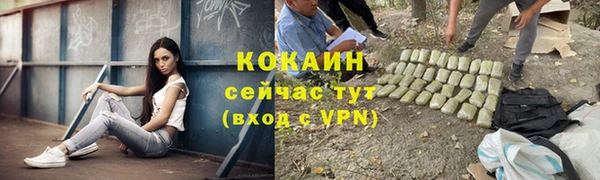 твердый Приозерск