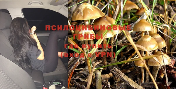 стаф Протвино