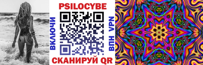 Галлюциногенные грибы прущие грибы  Ак-Довурак 